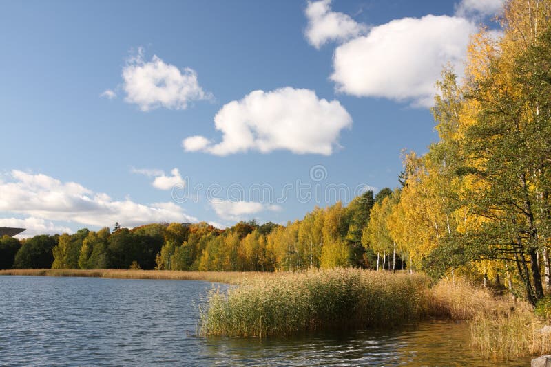 Sea shore in Finland royalty free stock photo