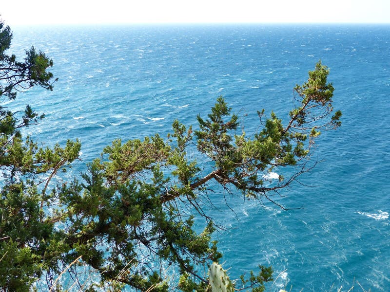 Scenic bay with stunning sea water, pine trees. Assos village, Mediterranean  Sea, Greece. Summer getaway on Greek Island. Royalty-Free Stock Image -  Storyblocks