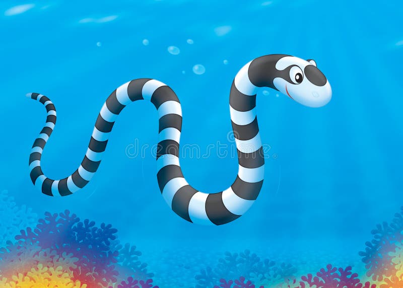 Sea snake stock illustration. Illustration of cartoon - 29081538 Sea snake stock illustration. Illustration of cartoon - 29081538