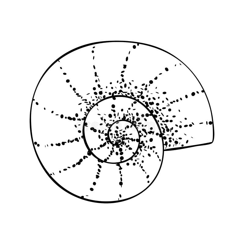 Nautilus Drawing Stock Illustrations 2 657 Nautilus Drawing Stock Illustrations Vectors Clipart Dreamstime Nautilus Drawing Stock Illustrations 2 657 Nautilus Drawing Stock Illustrations Vectors Clipart Dreamstime