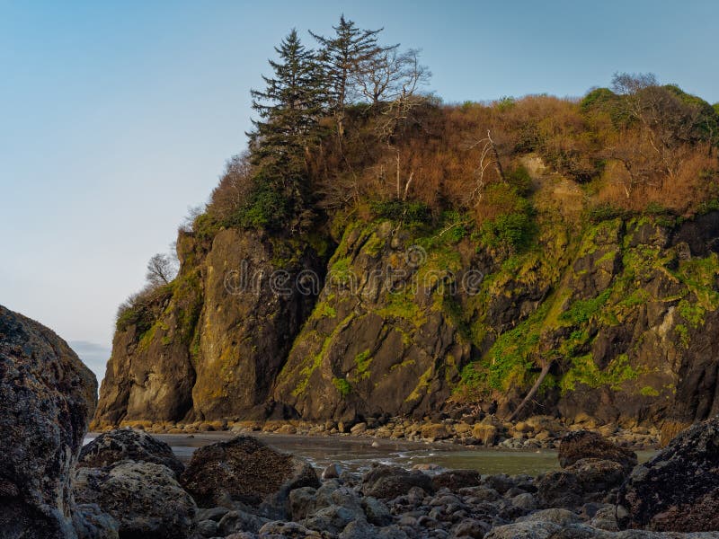 Sea Stack Low Tide stock image. Image of washington, pacific 91524215