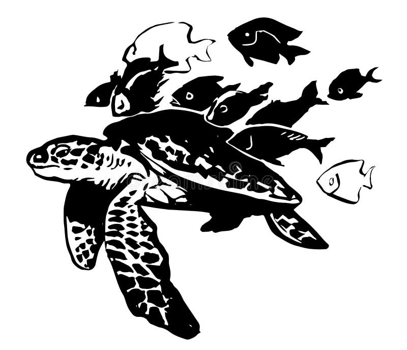 Black And White - Cute Turtle Stock Illustration - Illustration of ...