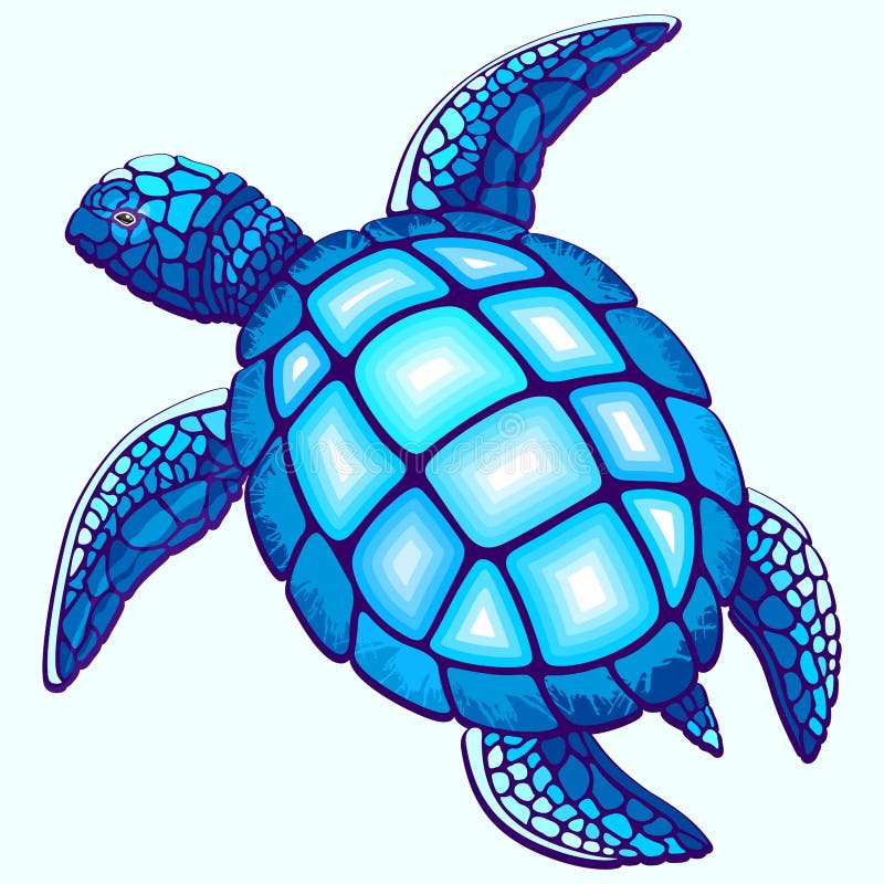 Sea Turtle Blue and Turquoise Vector Illustration Stock Vector -  Illustration of animal, reptile: 217455631