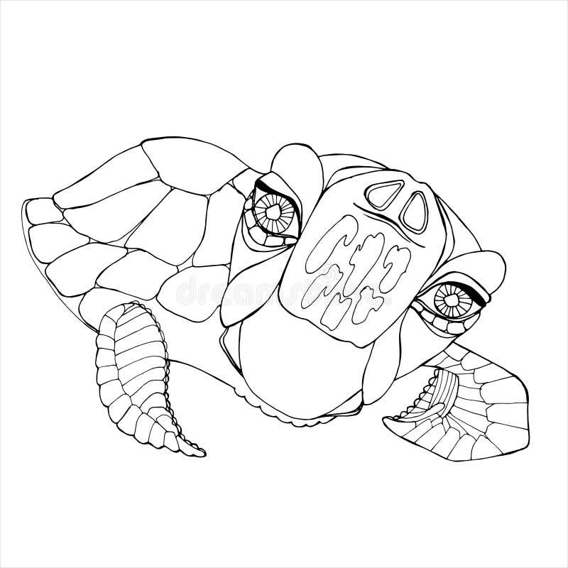 Turtle coloring book for adults vector Stock Vector by ©AlexanderPokusay  107350390