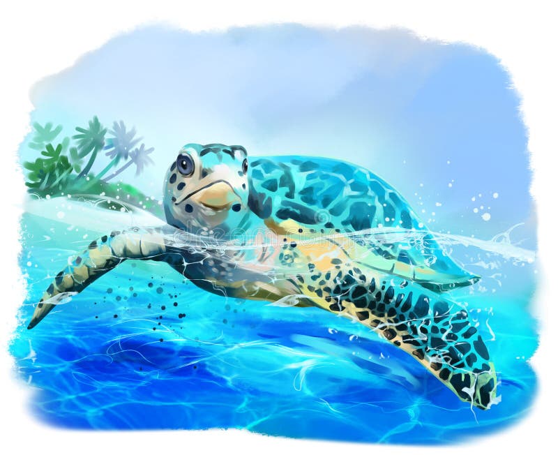 sea turtles drawing