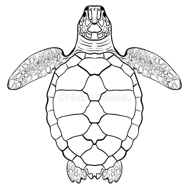 A Floating Turtle. Coloring Page Turtles, Hand-drawn For Relaxation And Stress  Relief. Coloring Book For Adults With Doodles, Design Elements. Royalty  Free SVG, Cliparts, Vectors, and Stock Illustration. Image 184175822.