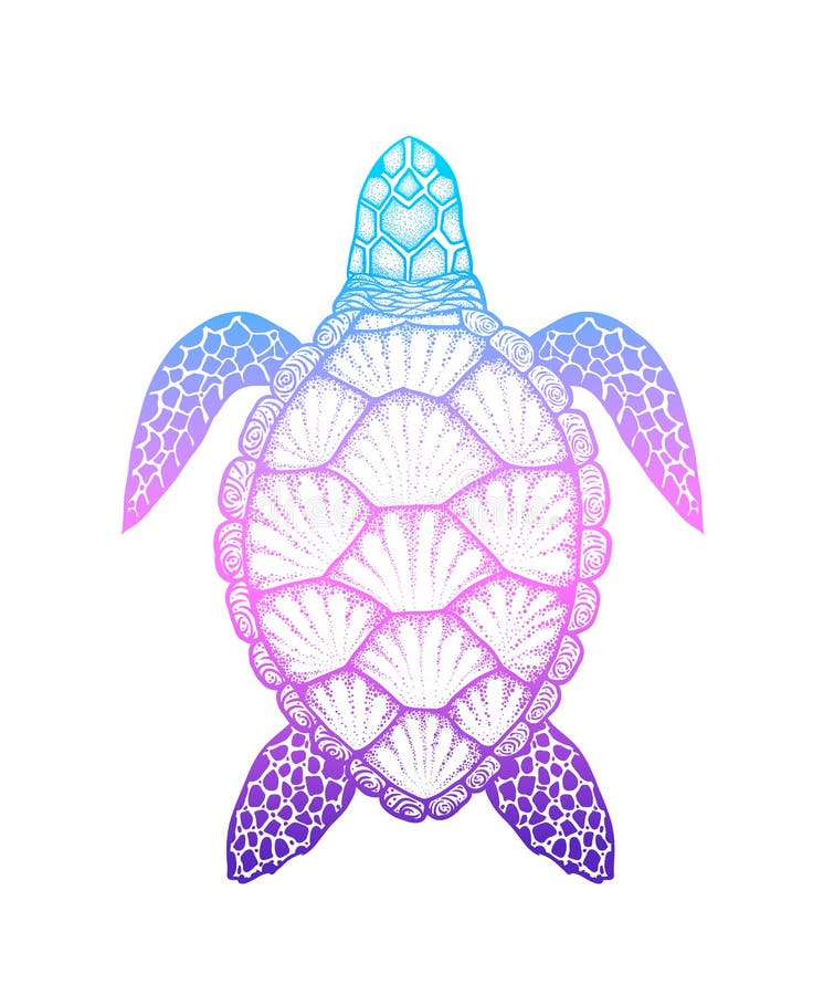 Download Sea Turtle In Line Art Style. Hand Drawn Vector Illustration Isolated On White Background ...