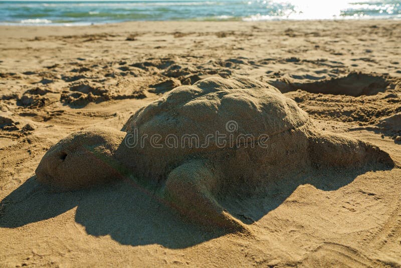 Sea turtle made of sand stock image. Image of time, shoreline 268631005