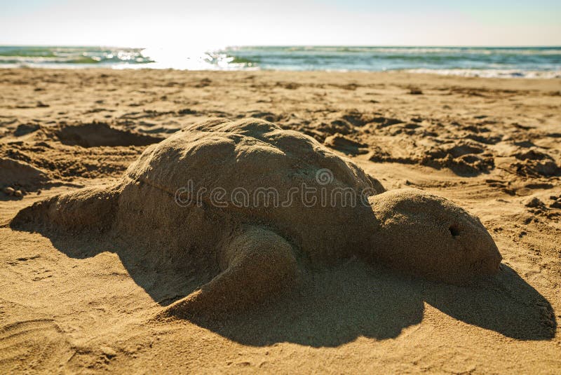 Sea turtle made of sand stock photo. Image of childhood 268631008