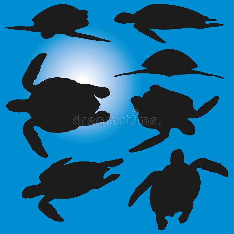 Sea Turtle Poses Silhouettes Vector Illustration Stock Vector