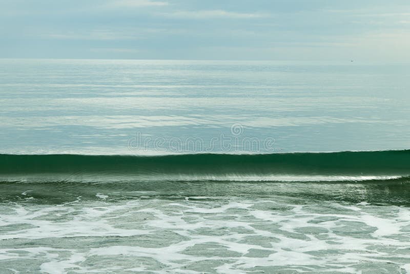 Sea wave. stock images
