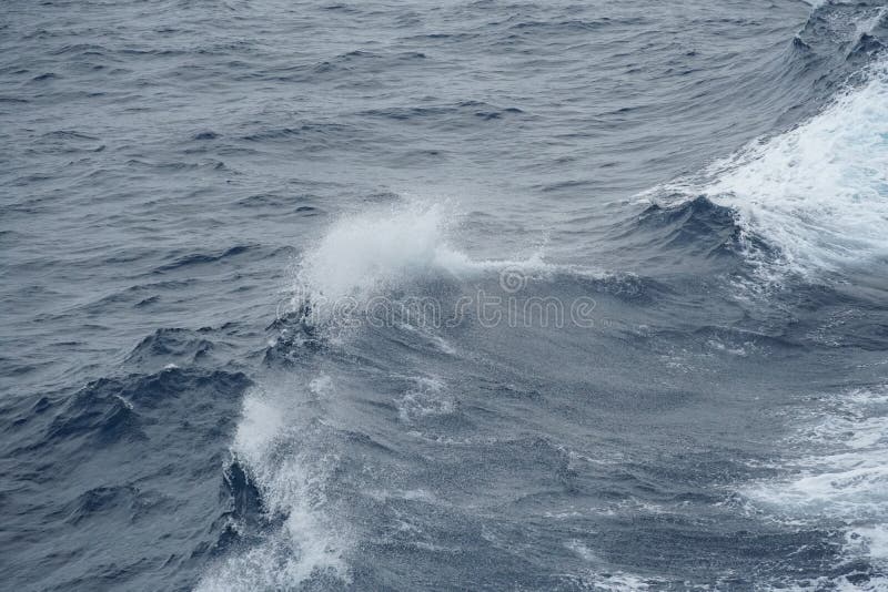 Sea wave on the Pacific Ocean. There is splashed water on the crest of the wave. royalty free stock photography