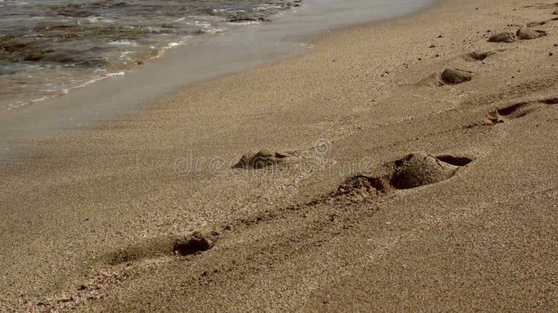 Sea Waves over Sand Beach.