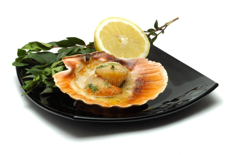 Seafood Dish