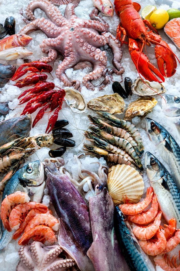 Seafood on ice stock photo. Image of crete, fresh, aquaculture - 69725050