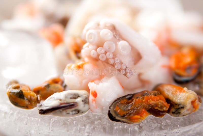 Seafood ingredients stock image. Image of nutrition, appetizer 18350829