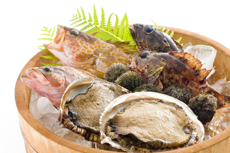Seafood from Japan stock photo. Image of plate, japanese 32868162