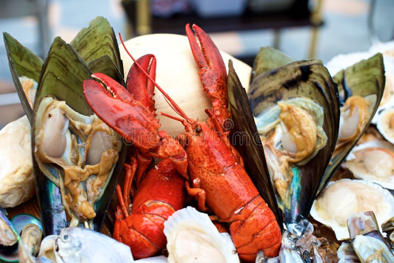 Seafood lobster stock photo. Image of crustacean, seafood 63583800