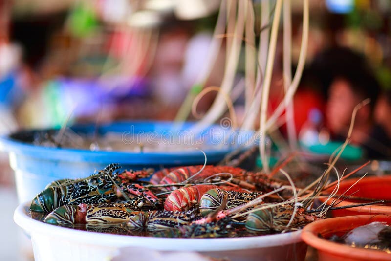 Seafood market stock photo. Image of oriental, philippines 14092340