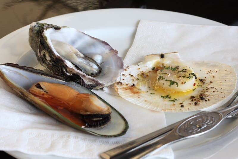 Seafood Plate stock photo. Image of meal, plate, cook 41298478