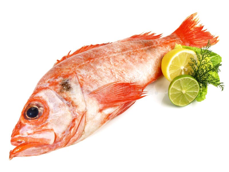 Seafood Red Perch on Asparagus and Pepper Stock Photo Image of