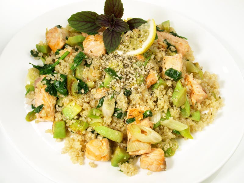 Seafood Salmon with Quinoa and Omega 3 Hemp Seeds Stock Image Image
