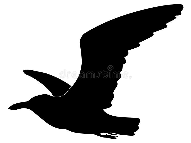 Seagull ilustracja wektor Seagull ilustracja wektor