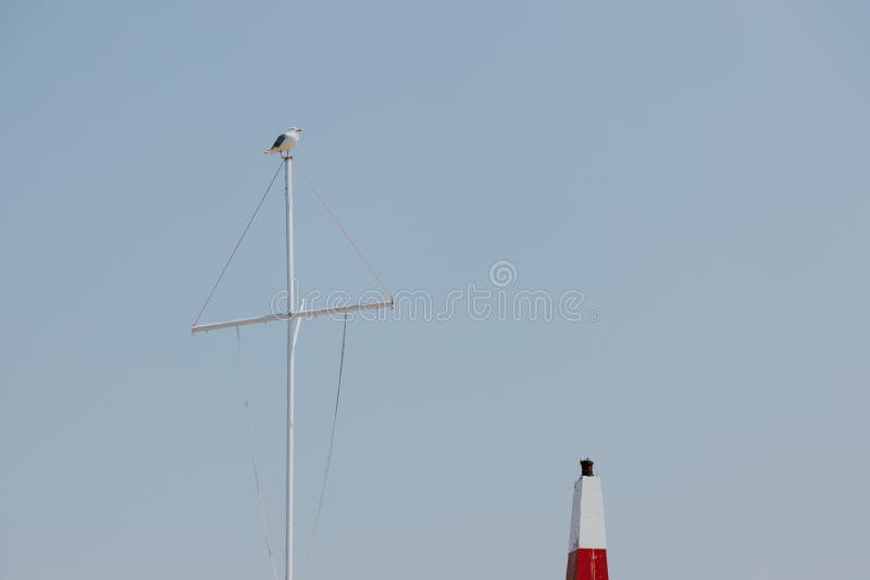 Seagull auf der Spitze des Poles lizenzfreie stockfotografie Seagull auf der Spitze des Poles lizenzfreie stockfotografie