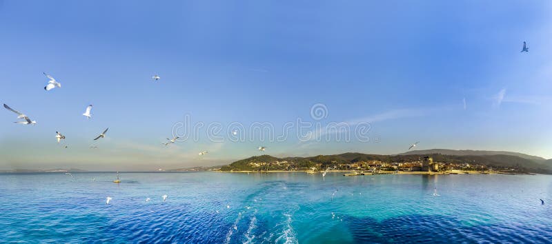 Seagull dove birds and panoramic view from sea to Athos Peninsula