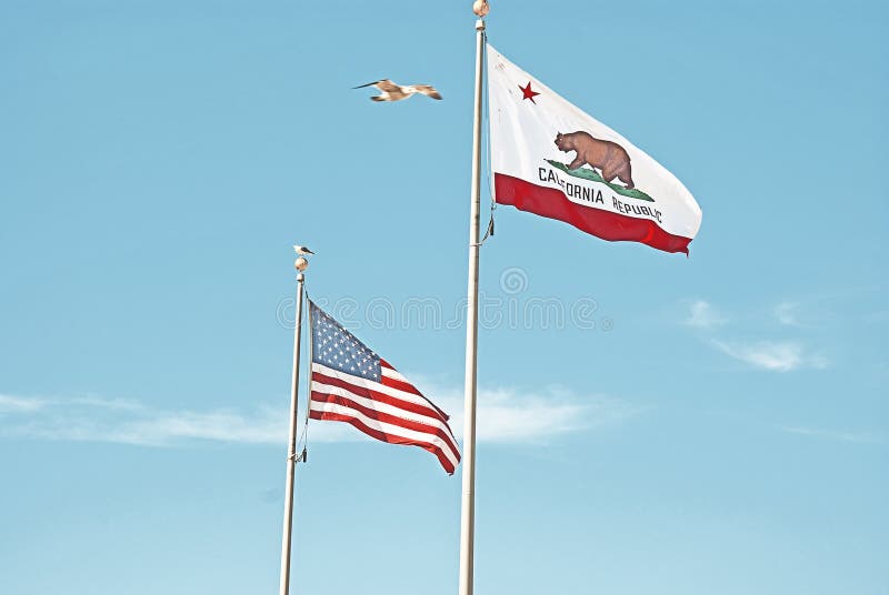 California and U.S. flags stock photo. Image of american 243936
