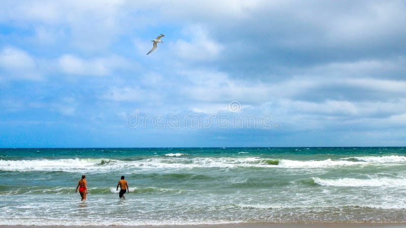Seagull flying over 2 people playing in the ocean