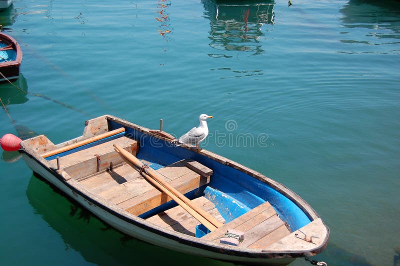 Seagull on a rowboat