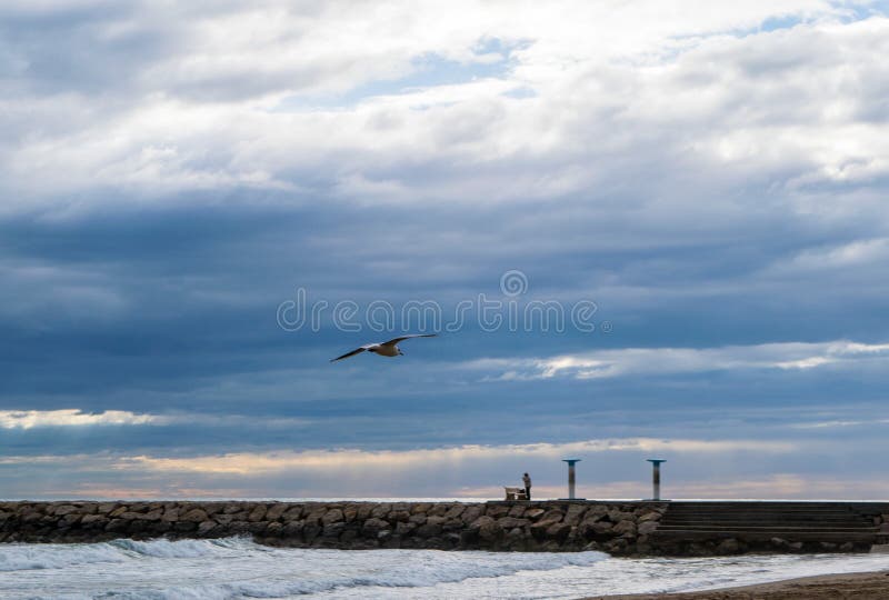 Seagull που πετά ενάντια στον μπλε δραματικό νεφελώδη ουρανό στοκ φωτογραφίες με δικαίωμα ελεύθερης χρήσης Seagull που πετά ενάντια στον μπλε δραματικό νεφελώδη ουρανό στοκ φωτογραφίες με δικαίωμα ελεύθερης χρήσης