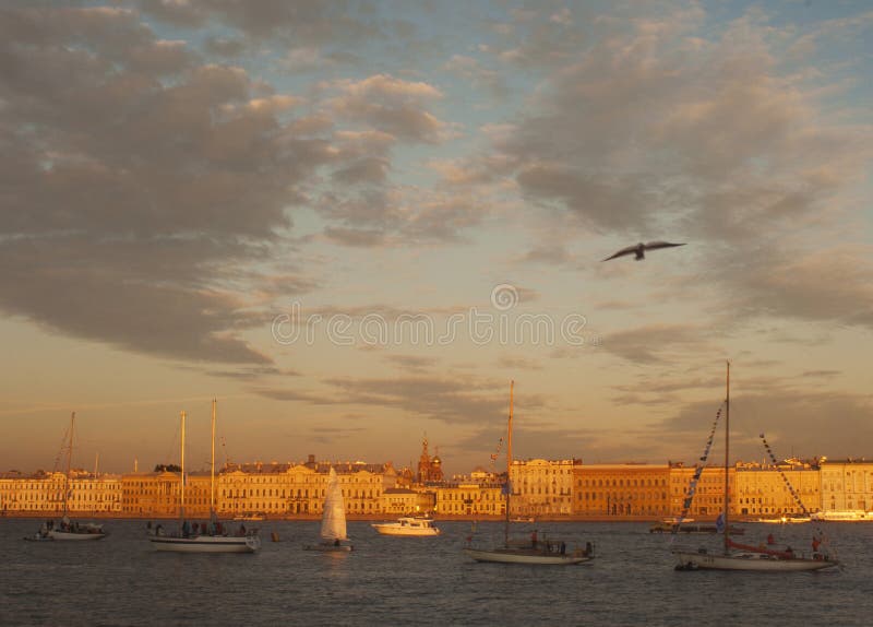 Seagull που πετά πέρα από τον ποταμό Neva και τα πλέοντας γιοτ στοκ φωτογραφίες με δικαίωμα ελεύθερης χρήσης Seagull που πετά πέρα από τον ποταμό Neva και τα πλέοντας γιοτ στοκ φωτογραφίες με δικαίωμα ελεύθερης χρήσης