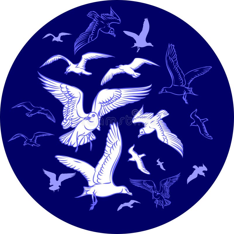 Seagulls stock vector. Illustration of birds, beauty - 24912561