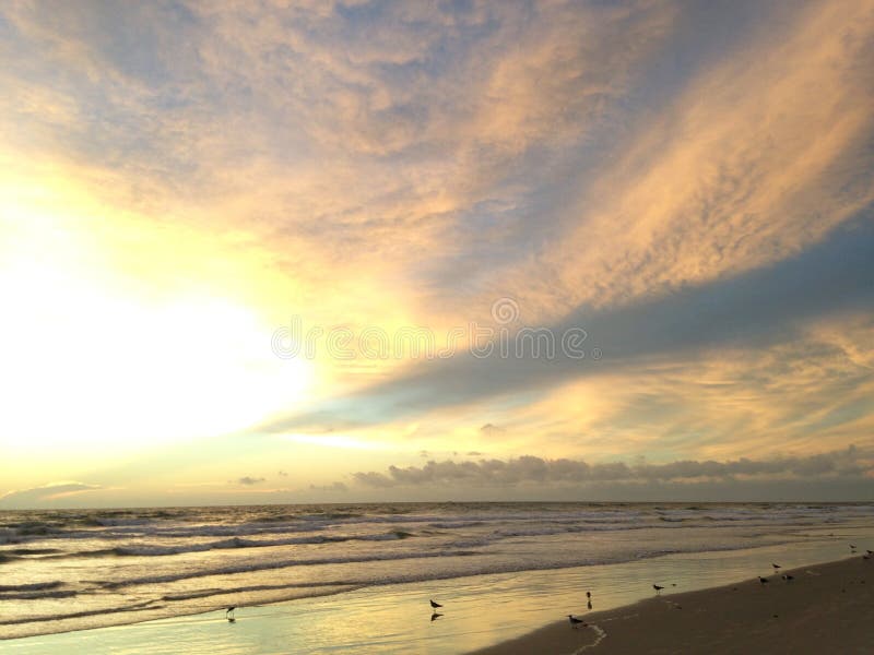 Seagulls on Atlantic Ocean Beach during Dawn with Crepuscular Rays.