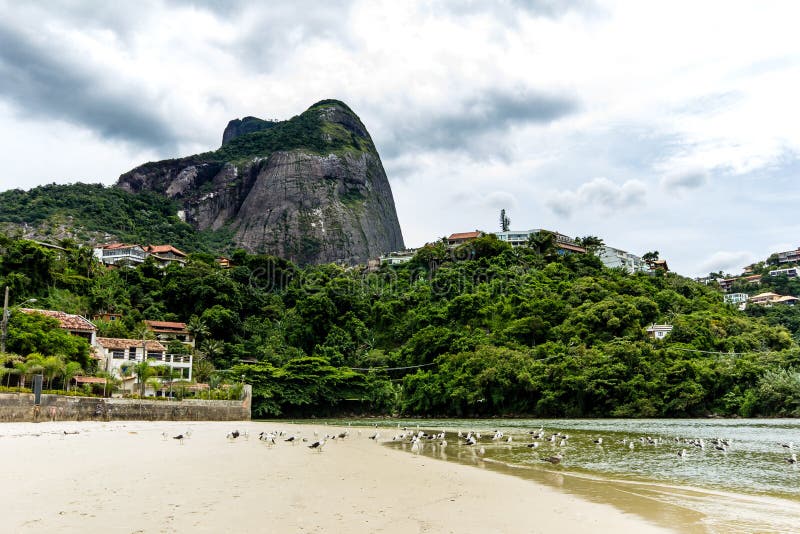 seagulls som flyger under bron i punkten var havet möter den Marapendi lagun, i Barra da Tijuca, Rio de Janeiro royaltyfri bild seagulls som flyger under bron i punkten var havet möter den Marapendi lagun, i Barra da Tijuca, Rio de Janeiro royaltyfri bild