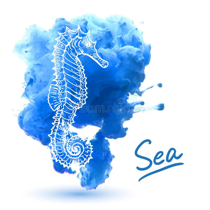 seahorse illustration stock seahorse illustration stock