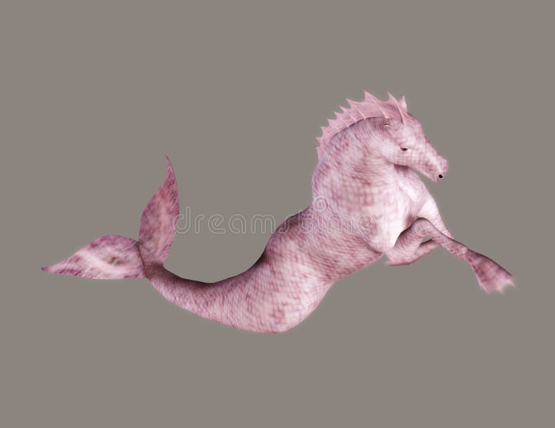 Seahorse