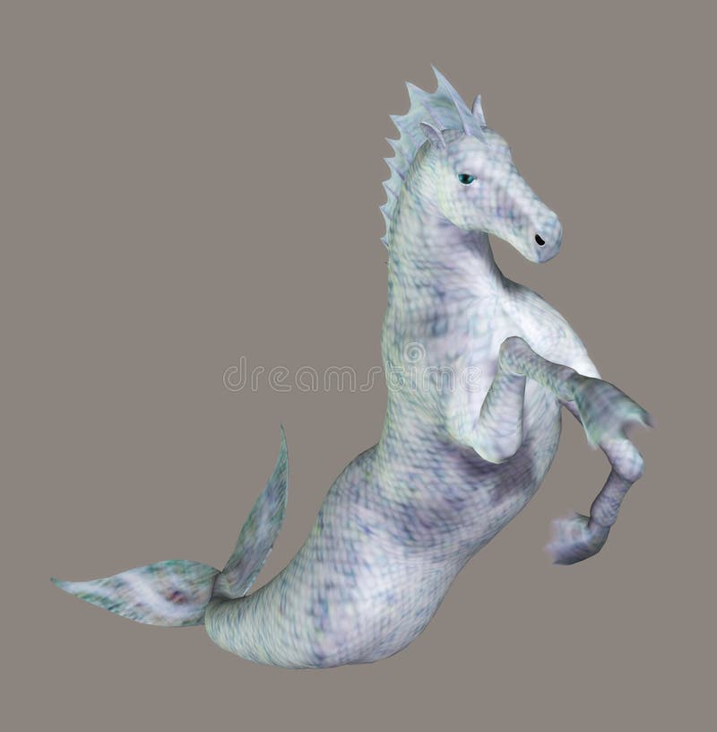 Seahorse