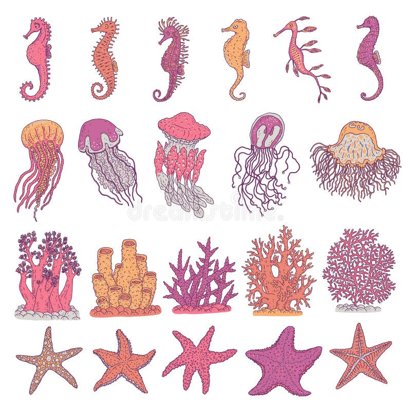 Set seahorses, jellyfish, starfishes and corals different forms. Vector ocean animals underwater life doodle sketch line isolated illustrations. Set seahorses, jellyfish, starfishes and corals different forms. Vector ocean animals underwater life doodle sketch line isolated illustrations