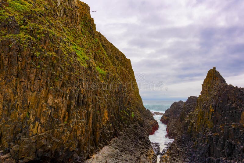 Seal Rock Beach on the Oregon Coast Stock Image Image of seal, rocks