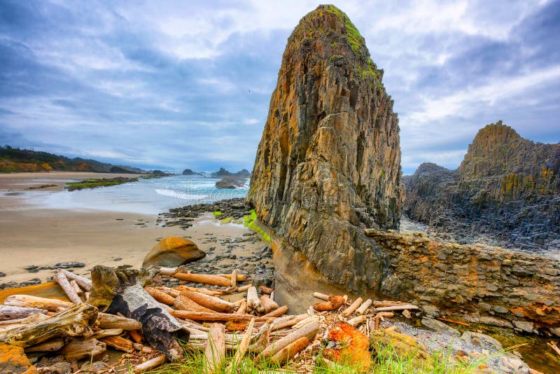 Seal Rock Beach on the Oregon Coast Stock Photo Image of outdoors