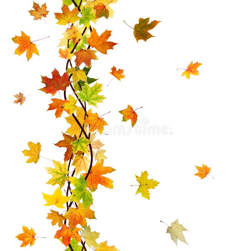 Seamless autumn branch stock illustration. Illustration of beautiful