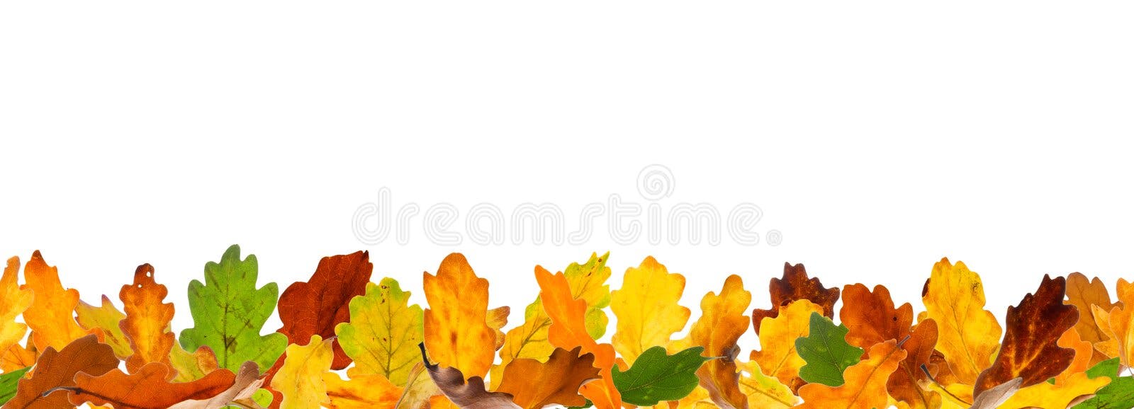 Seamless autumn leaves stock image. Image of falling - 32786033