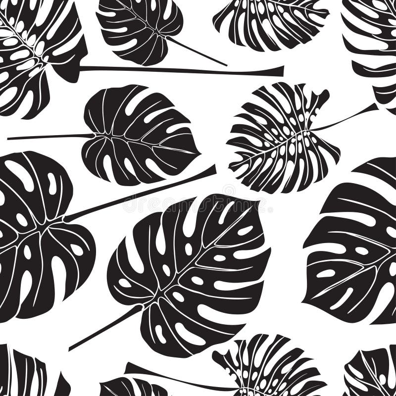 Seamless background with silhouette tropical monstera leaves. Black on white background