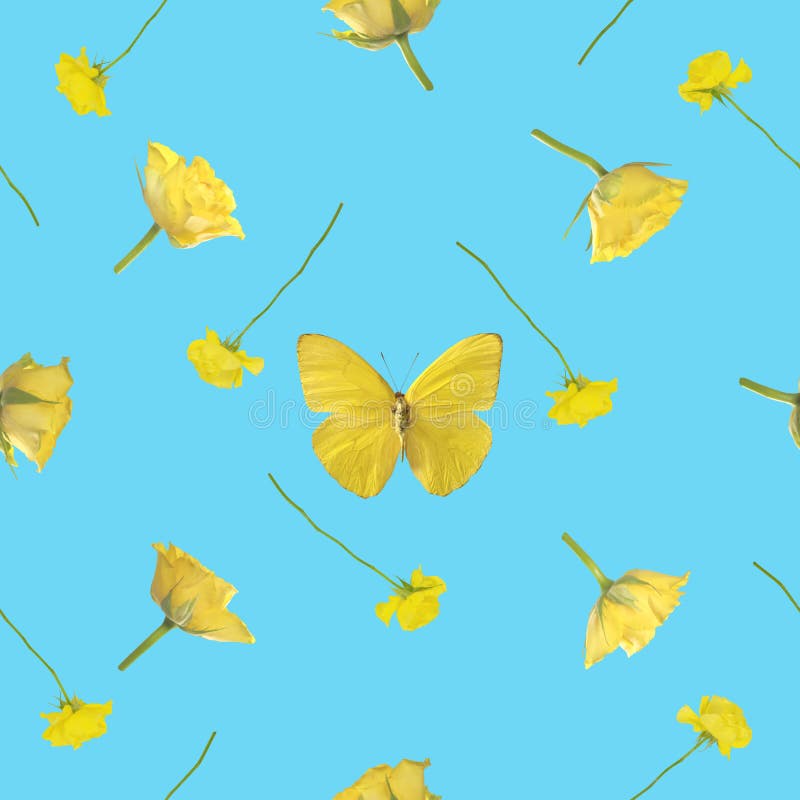 Repeatable background of studio photographs of a butterfly and roses in yellow, isolated on sky blue. Repeatable background of studio photographs of a butterfly and roses in yellow, isolated on sky blue