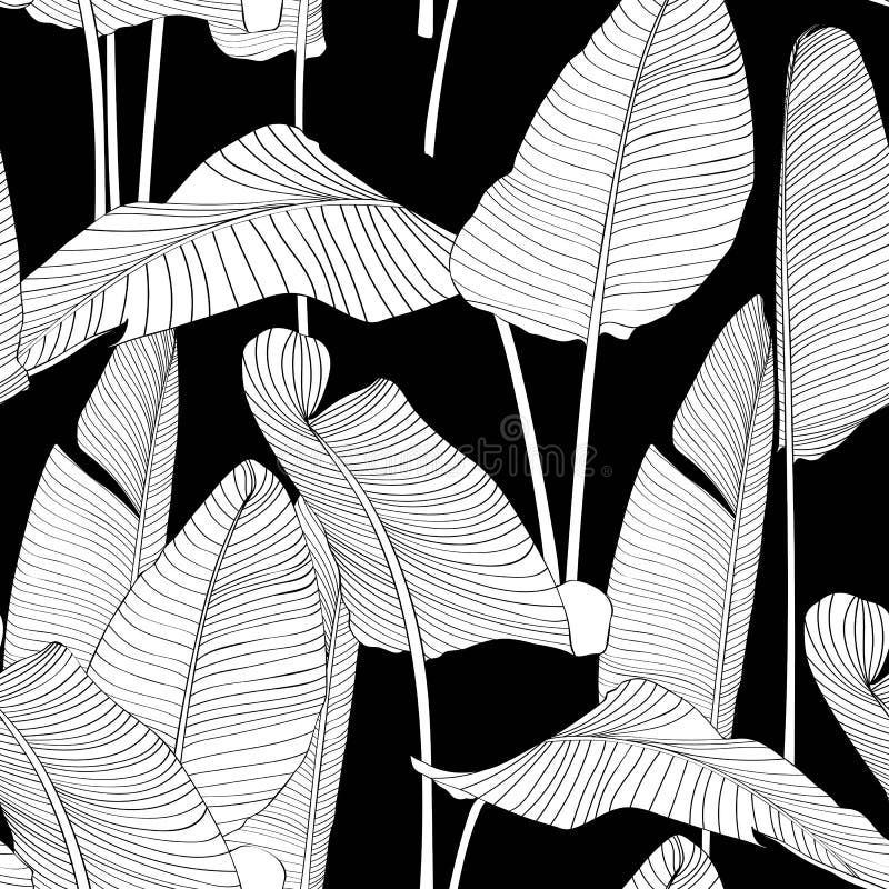 Seamless Banana Leaf Pattern Background. Black and White with Drawing