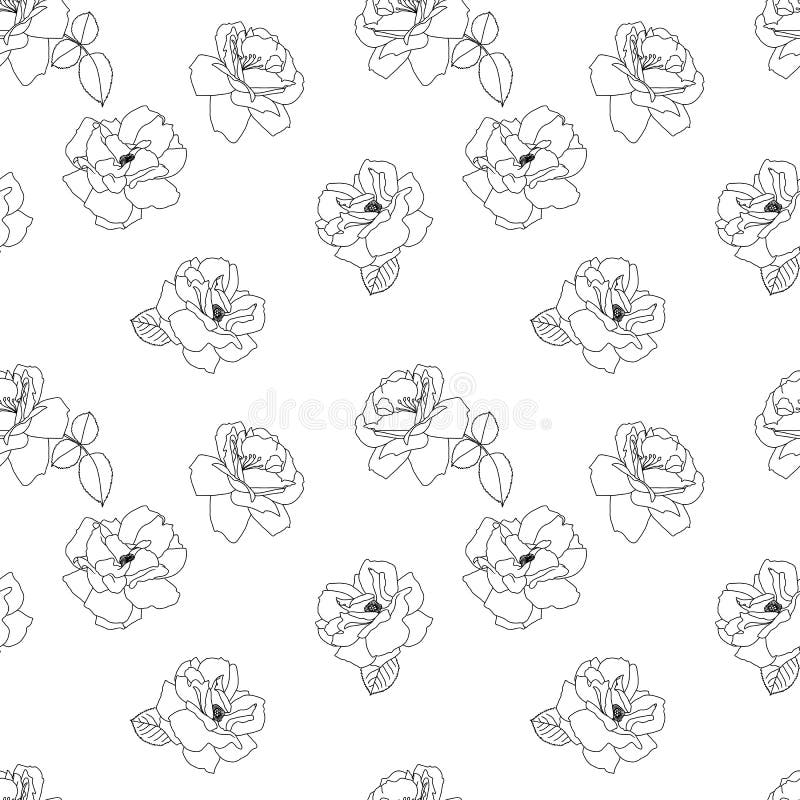 Seamless Black and White Rose Pattern. Flower Background. Vecor Blossom