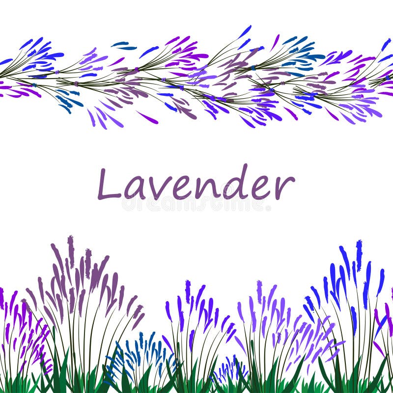 Lavender border stock illustration. Illustration of lavender 121813776
